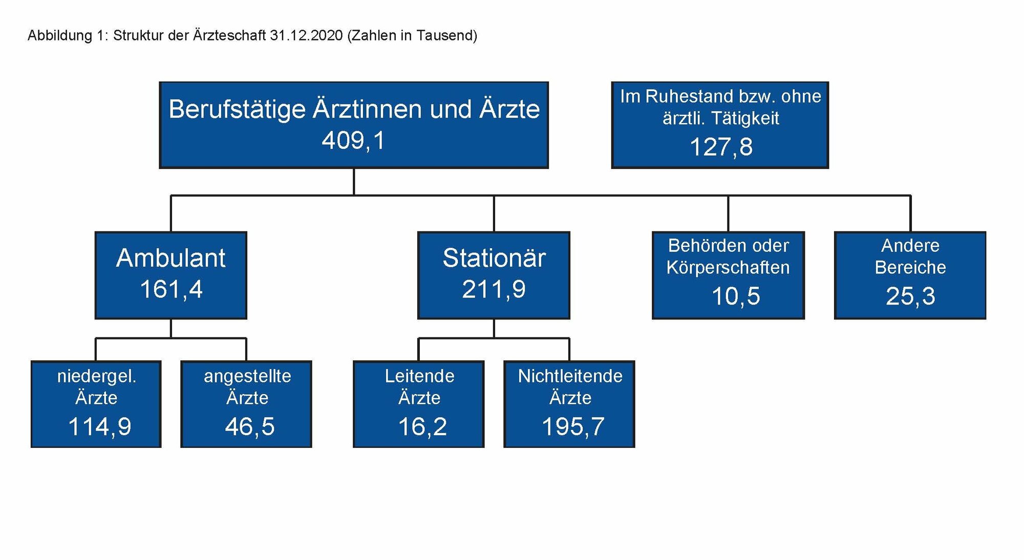 Abb.1_Struktur_der_AErzteschaft_31.12.2020.jpg Abb.1_Struktur_der_AErzteschaft_31.12.2020.jpg