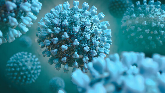 Coronavirus Coronavirus