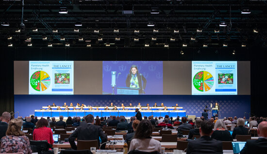 Vortrag Prof. Gabrysch