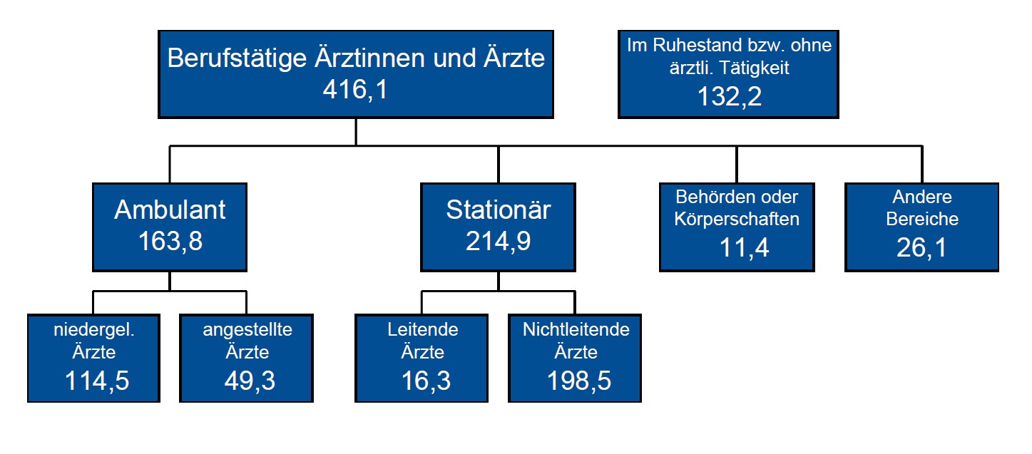 Abb._1_Struktur_der_AErzteschaft_2021.jpg Abb._1_Struktur_der_AErzteschaft_2021.jpg
